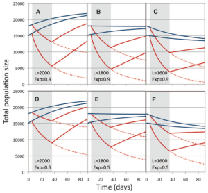 Simulation statistique pour la comparaison de la dynamique des populations d'abeilles pour des colonies exposées au thiametoxam (lignes rouges) et non-exposées (lignes bleues)