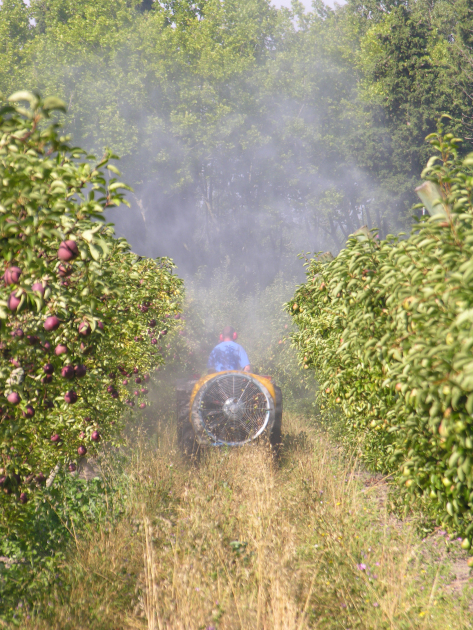 Un des arguments de l'entreprise Syngenta pour développer l'usage des insecticides systémiques est qu'il permet de limiter la pulvérisation d'insecticides.